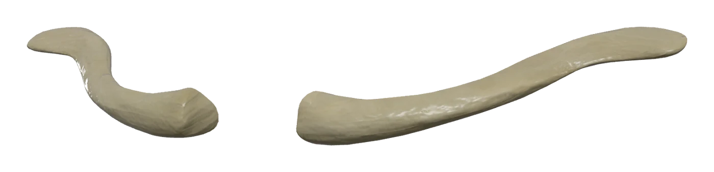 Clavicle in 3D, rendered in Anatomy Atlas 3D