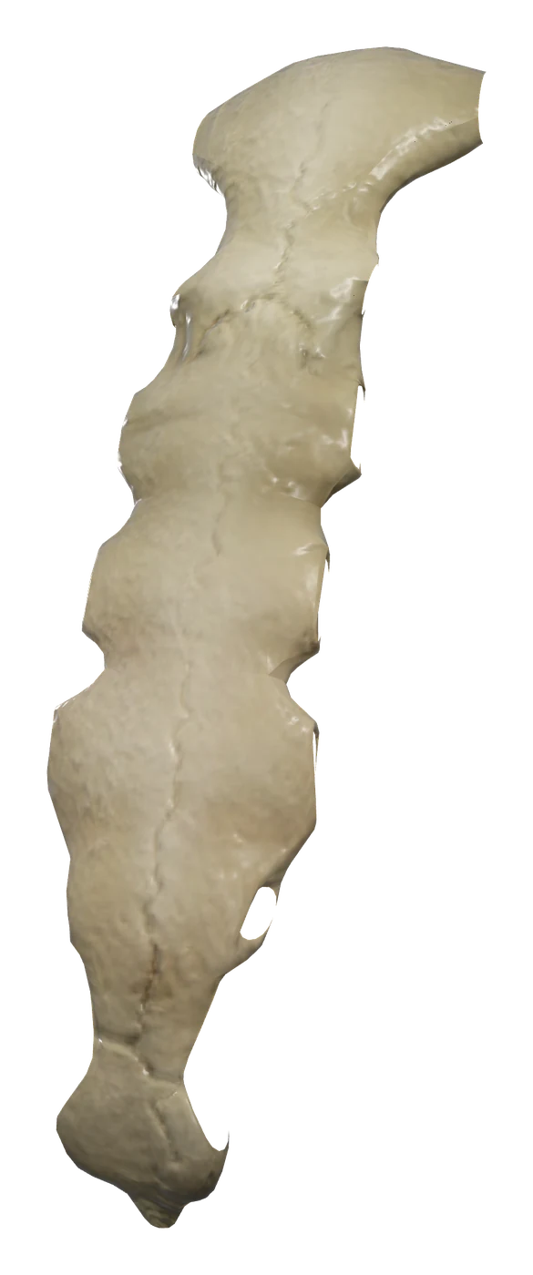 Sternum in 3D, rendered in Anatomy Atlas 3D