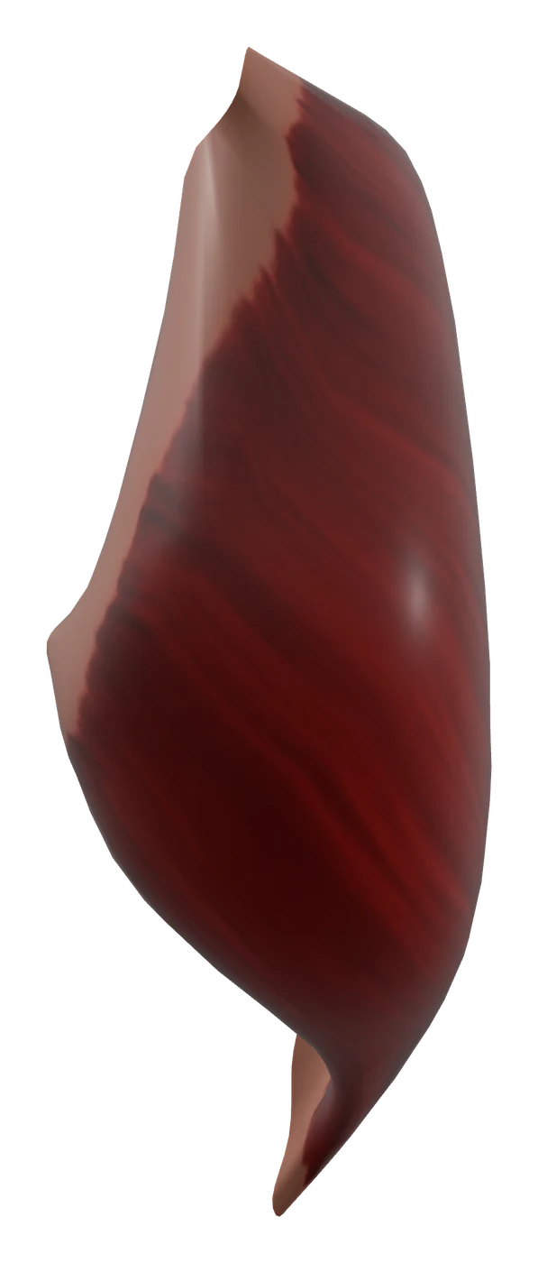 Gluteus maximus muscle in 3D, rendered in Anatomy Atlas 3D