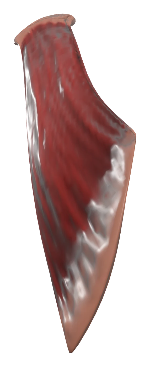 Pectoralis minor muscle in 3D, rendered in Anatomy Atlas 3D