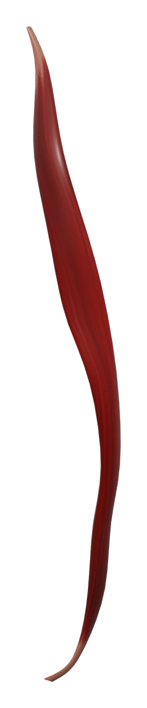 Sartorius muscle in 3D, rendered in Anatomy Atlas 3D