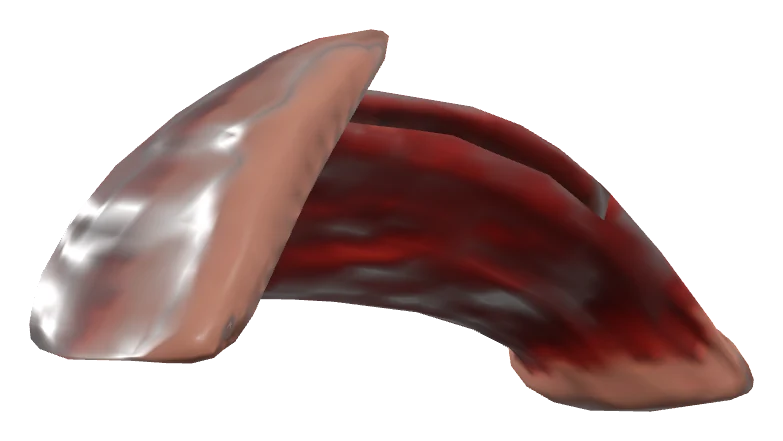 Serratus anterior muscle in 3D, rendered in Anatomy Atlas 3D