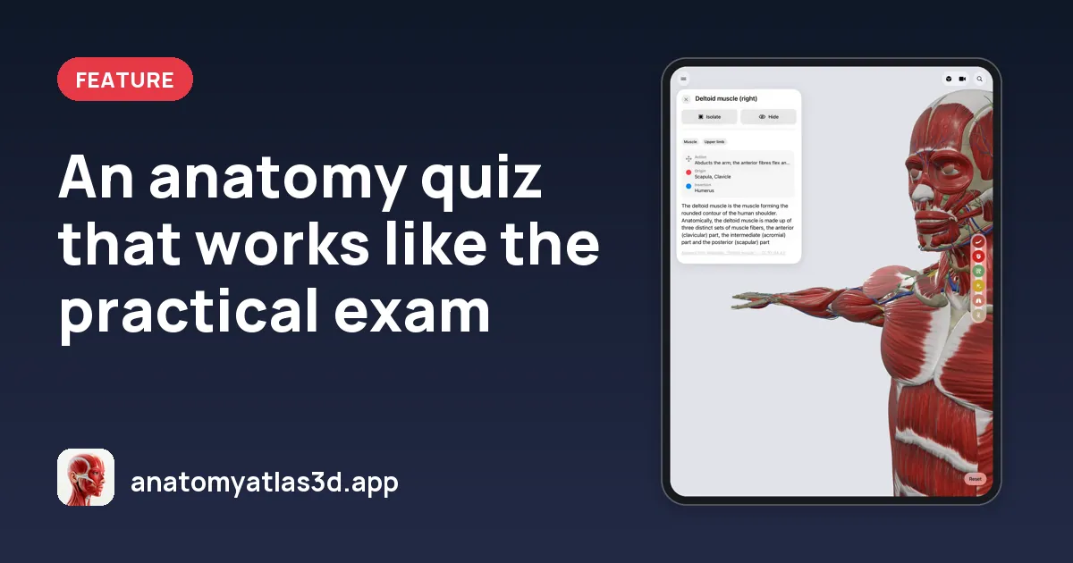 An anatomy quiz that works like the practical exam, Anatomy Atlas 3D