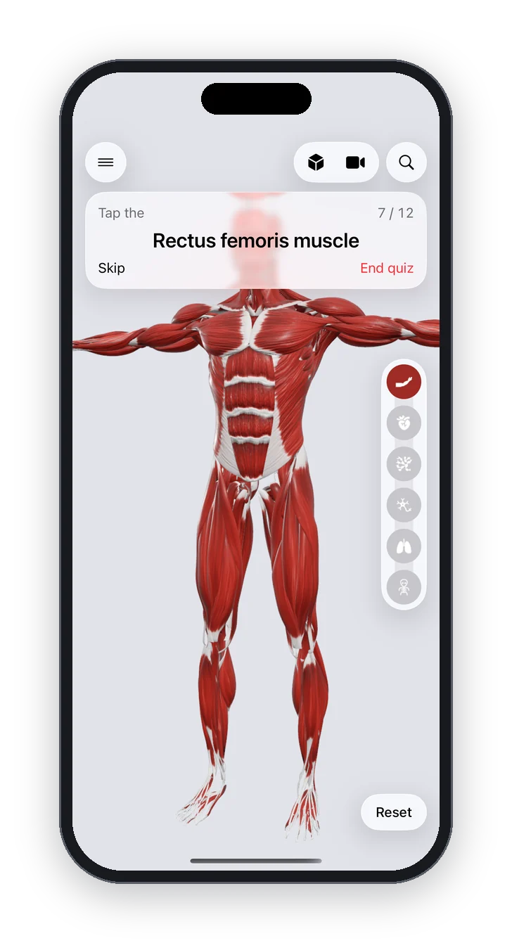 Anatomy Atlas 3D on iPhone: the tap-the-structure quiz in progress